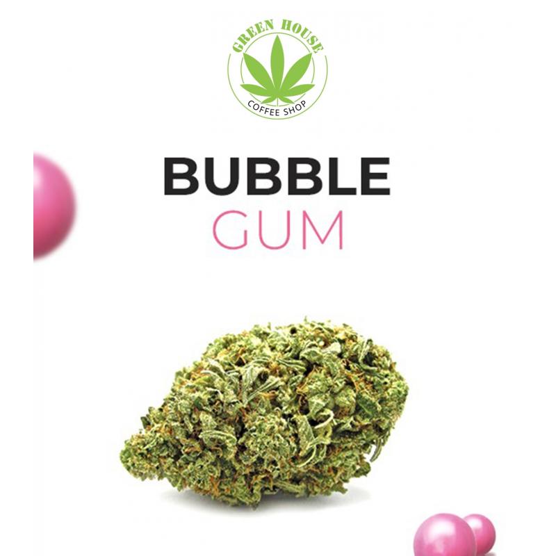What You Need To Know About Cbd Gum