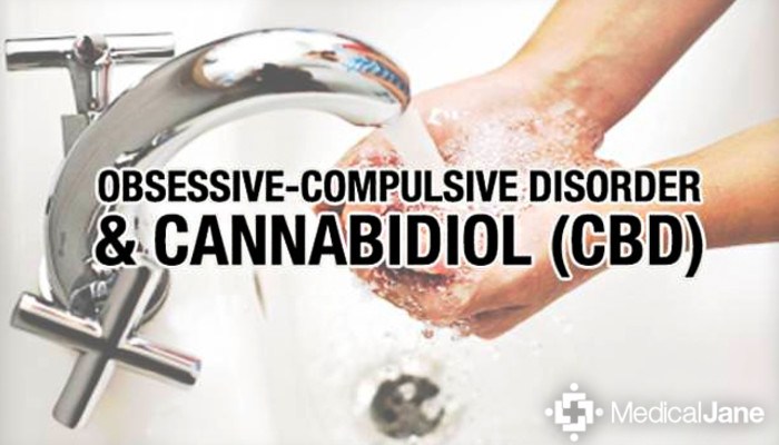 Does CBD Oil Help With Obsessive-Compulsive Disorder (OCD)?